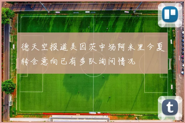 德天空报道美因茨中场阿米里今夏转会意向已有多队询问情况