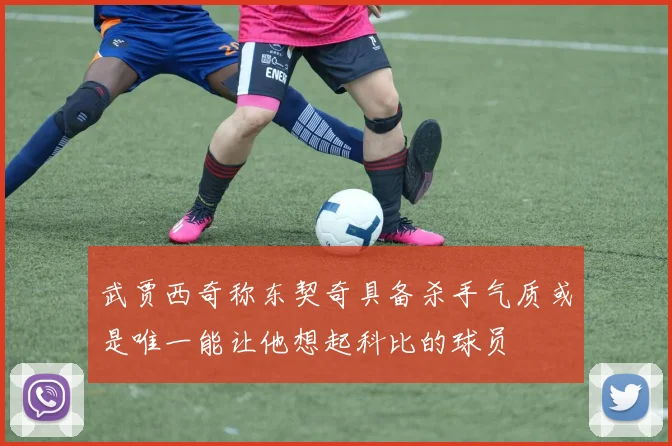 武贾西奇称东契奇具备杀手气质或是唯一能让他想起科比的球员